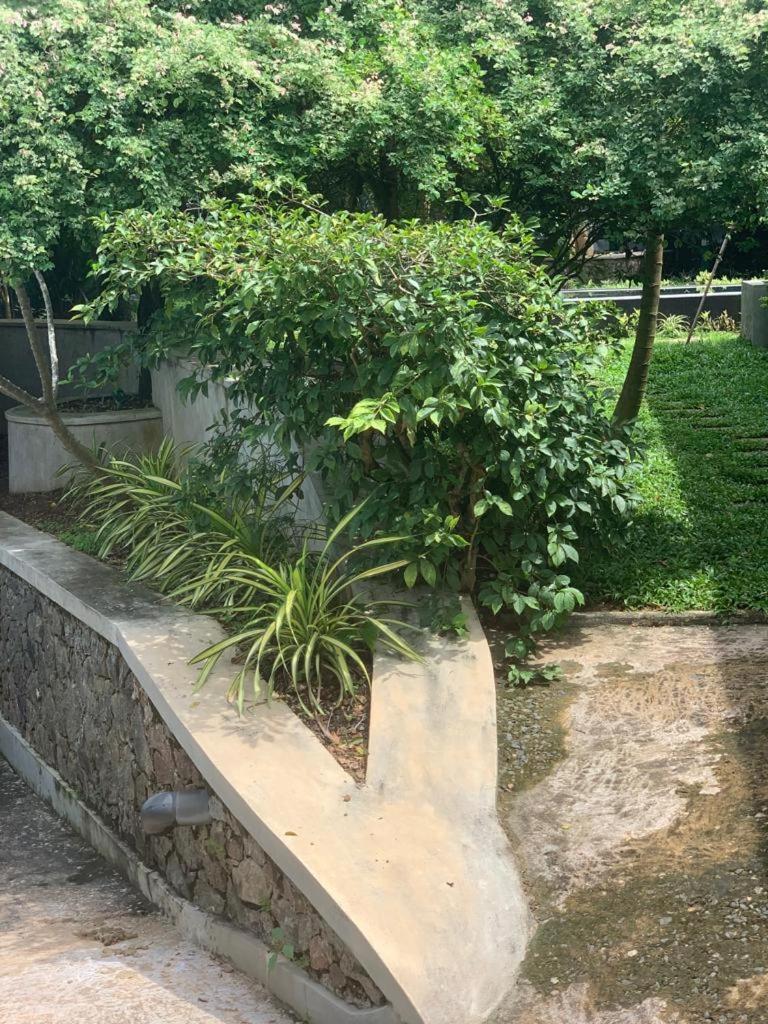 Villa Peace Heaven Galle Zewnętrze zdjęcie